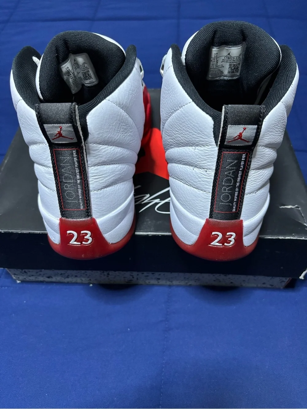 Jordan 12 retro